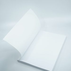 Blank Book Mockup