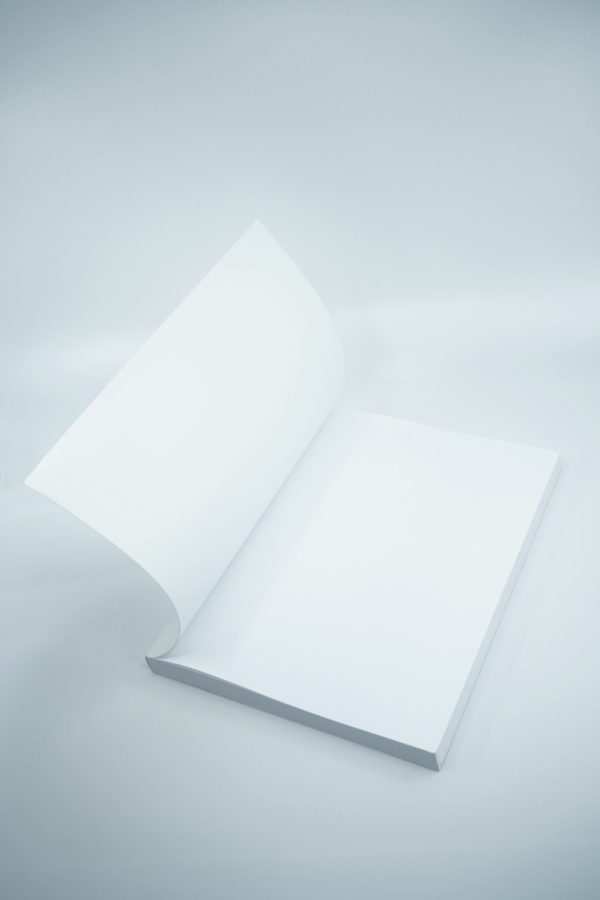 Blank Book Mockup